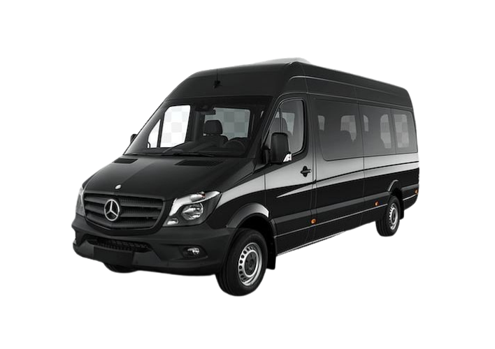 Professional Vancouver chauffeur assisting passengers for cruise transfer